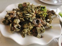 白灼狗爪螺-哈味食店(外伶仃岛店)