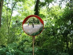 -上海佘山国家森林公园西佘山园