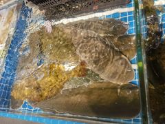 -韩记海鲜饺子旗舰店(红海新区店)