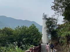 -羚羊峡古栈道森林公园