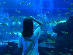 -成都浩海立方海洋公园