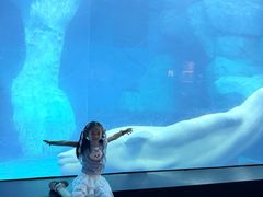 -海合安武汉极地海洋公园