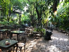 景观位-Fern Forest Cafe