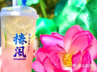 想喝变瘦变美的奶茶吗？快来国潮养身茶饮—椿风