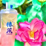 杭州探店｜高质量饮品🍵