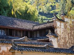 -杨家堂村
