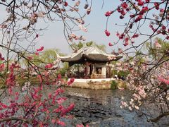 -无锡蠡湖国家湿地公园-蠡园