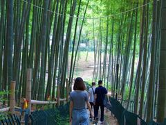 -宝岩生态观光园