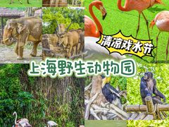 -上海野生动物园