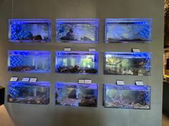 -映像威海·威海宴(威高广场店)