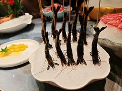 -尚海豆捞(乐虹坊店)