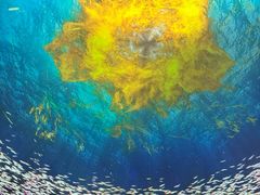 -海合安天津极地海洋公园