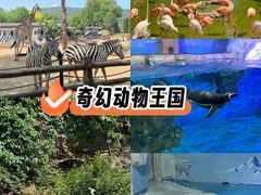 -大连森林动物园