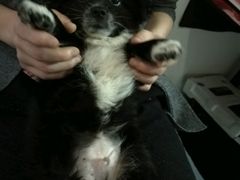 -麦当劳(武昌火车站店)