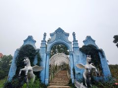 -大塘金香草谷