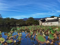 -南湖书院
