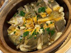 -新雅粤菜馆(南京东路店)