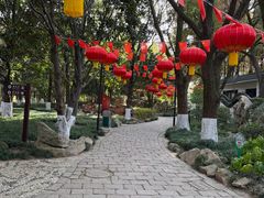 -瀛洲公园