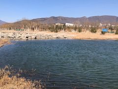 -永定河休闲森林公园