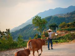 -杨家堂村