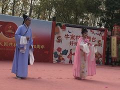 -合肥滨湖国家森林公园