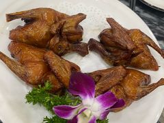 -鸽鸟轩(石岐店)