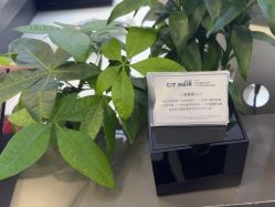 -CIT造型·烫发·染发
