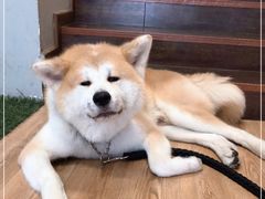 -YCHL Studios健身工作室(市二宫店)
