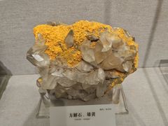 -湖南省地质博物馆