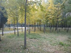 -辽宁大学(崇山校区)
