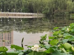 -后襄河公园