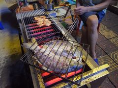 -后柳水乡