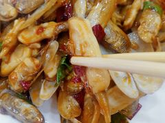 鲜活蛏子-四海鲜渔家菜(黄金海岸店)