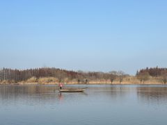 -溱湖国家湿地公园