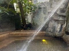 -海口观澜湖火山温泉谷