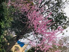 -郑州银基黄帝宫御温泉