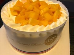 -维尔纳斯·生日蛋糕·动物奶油冰淇淋蛋糕(六里桥店)