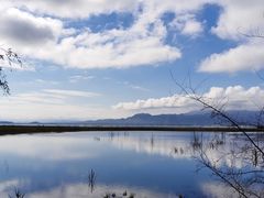 -野鸭湖国家湿地公园