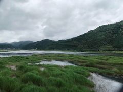 -腾冲北海湿地