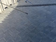 -飞来湖湿地公园