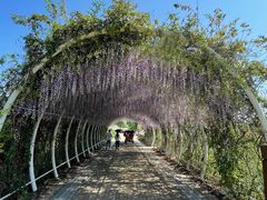 -同里国家湿地公园