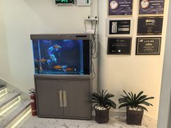 -海涛医疗美容·面部抗衰·注射美鼻