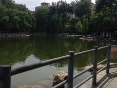 -莲湖公园