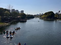 -新江湾城公园
