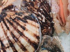 -老虎滩船说·海胆水饺·大连海鲜(老虎滩店)