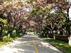 -西安理工大学(金花校区)