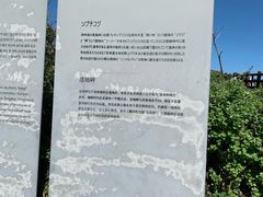-涉地可支