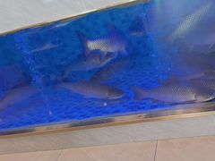 -粤顺渔坊·中山脆肉鲩火锅(清湖店)