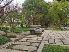 -广富林郊野公园