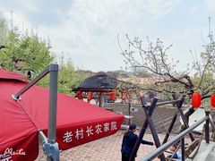-老村长农家院